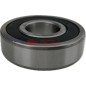 Cuscinetto Ruota 25X62X17 (Non Originale) CUS01 RDMCUS01
