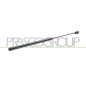 Molla A Gas destro/Sinistro Portellone posteriore (Mod. 3P.) (330N per Fiat Punto (188) e Punto (3 Porte) (188) FT3409055