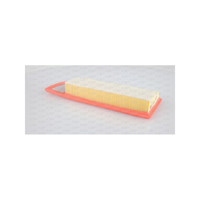 Filtro Aria EAF3198.10
