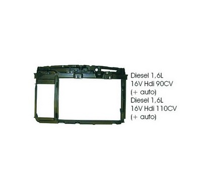Peugeot 207 07 - Frontale 110172 - 53-110172 - 53-110172