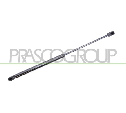 Molla A Gas destro/Sinistro Portellone posteriore (430N L.470MM) per Citroen C3 CI3249055
