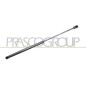 Molla A Gas destro/Sinistro Portellone posteriore (430N L.470MM) per Citroen C3 CI3249055