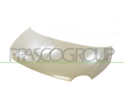 Cofano per Fiat 500 (312) FT0303120