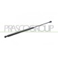 Molla A Gas destro/Sinistro Portellone posteriore (350N L.456MM) per Fiat 500 (312) FT0309055
