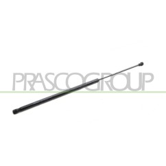 Molla A Gas destro/Sinistro Portellone posteriore (670N per Citroen Nemo, Fiat Fiorino e Fiorino Qubo e altri modelli
