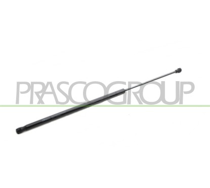 Molla A Gas destro/Sinistro Portellone posteriore (670N per Citroen Nemo, Fiat Fiorino e Fiorino Qubo e altri modelli FT9079055