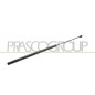 Molla A Gas destro/Sinistro Portellone posteriore (670N per Citroen Nemo, Fiat Fiorino e Fiorino Qubo e altri modelli FT9079055