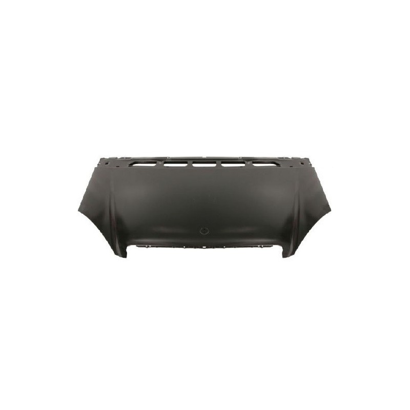 Cofano anteriore A Class 169 2004 per Mercedes Classe A (W169) 01237030