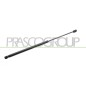 Molla A Gas destro/Sinistro Portellone posteriore (280N L.562MM) per Lancia Ypsilon LA0049055