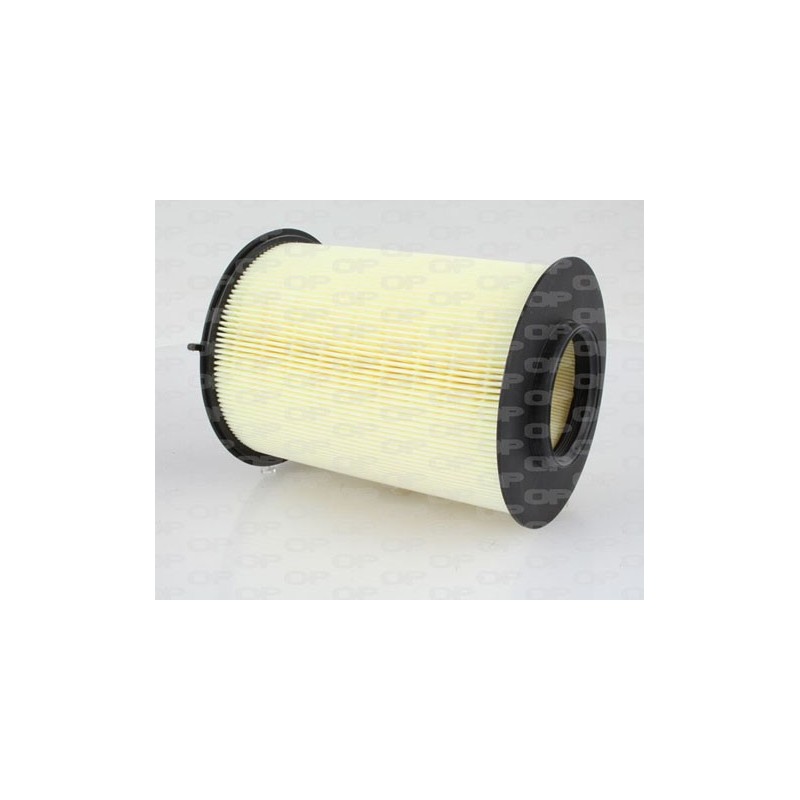 Filtro Aria EAF3009.20