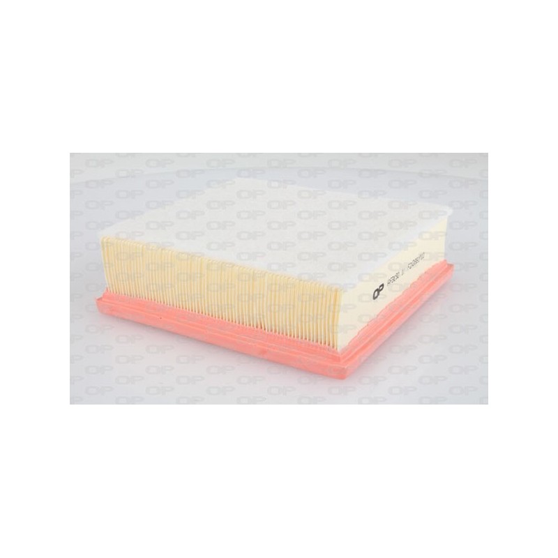 Filtro Aria EAF3060.10