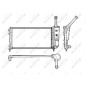 Radiatore Fiat 53616