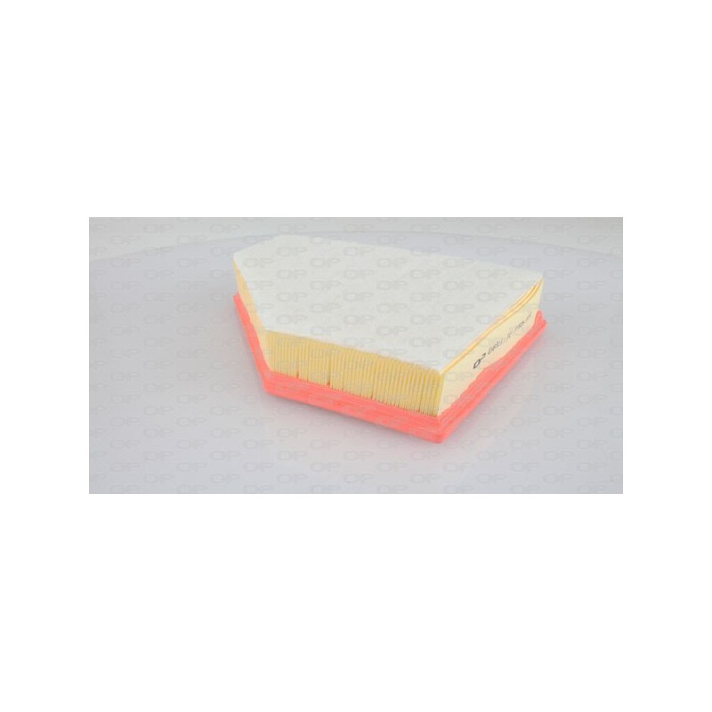 Filtro Aria EAF3117.10