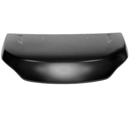 Cofano per Iveco Daily FT9503100