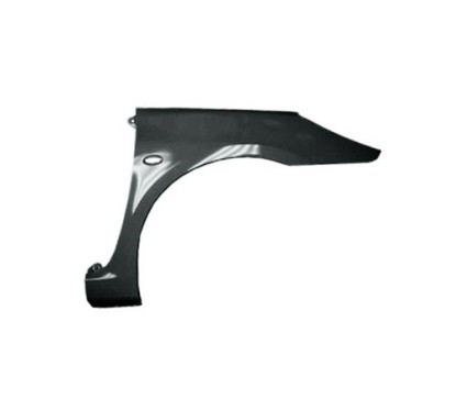 Parafango anteriore D. Peugeot-Peugeot 307 2005 00556012