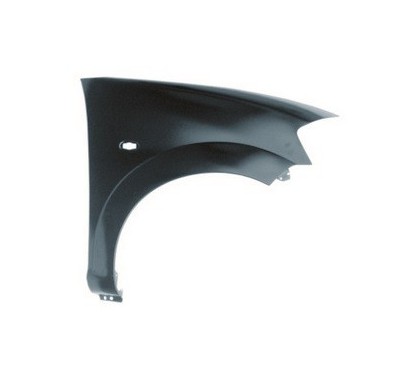 Parafango anteriore D. Citroen-Citroen C3 00670012 - 49-00670012 - 49-00670012