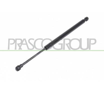 Molla A Gas destro/Sinistro Portellone posteriore (320N L.370MM) per Bmw 3 (E90) e 3 (E90/E91) BM0249055