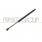 Molla A Gas destro/Sinistro Portellone posteriore (320N L.370MM) per Bmw 3 (E90) e 3 (E90/E91) BM0249055
