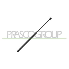 Molla A Gas Lunotto posteriore destro/Sinistro per Citroen C1 e Peugeot 107 CI2019056