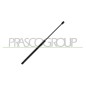 Molla A Gas Lunotto posteriore destro/Sinistro per Citroen C1 e Peugeot 107 CI2019056