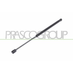 Molla A Gas destro/Sinistro Portellone posteriore (420N L.445MM) per Citroen C3 e Nissan Micra (K14) CI3209055