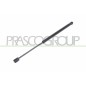 Molla A Gas destro/Sinistro Portellone posteriore (420N L.445MM) per Citroen C3 e Nissan Micra (K14) CI3209055