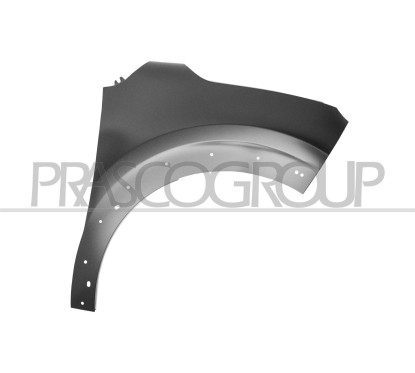 Parafango anteriore destro con Fori Parafanghino per Citroen C3 CI3283013