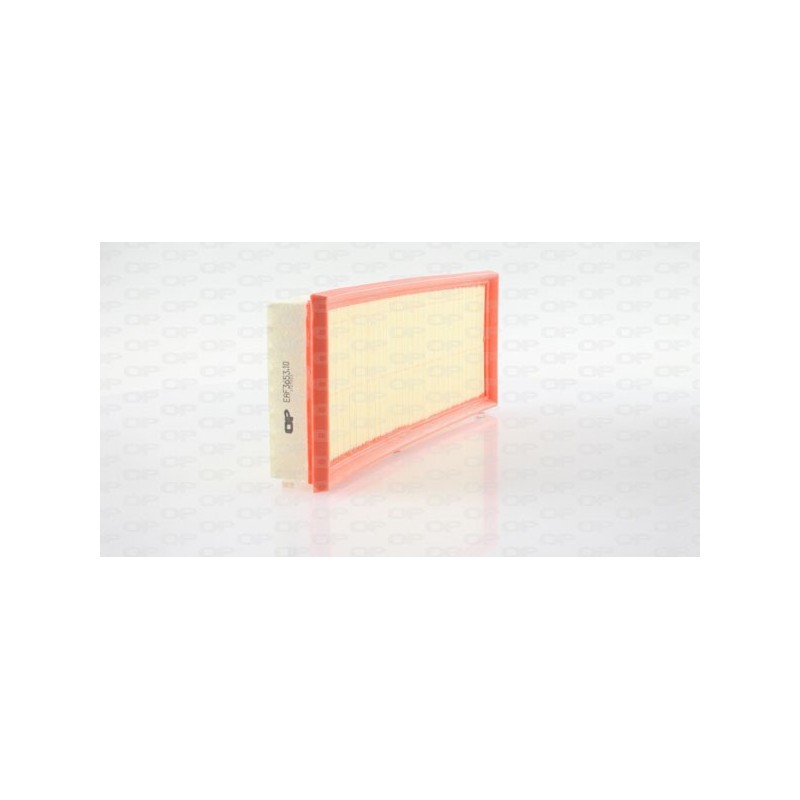 Filtro Aria EAF3653.10