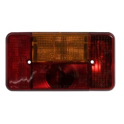 Vetro Fanale Multifunzione destro 123117