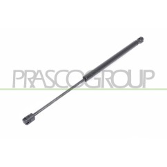 Molla A Gas destro/Sinistro Portellone posteriore (310N L.448MM) per Ford Ka (Rb) FD0069055 - 64-FD0069055 - 64-FD0069055