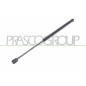 Molla A Gas destro/Sinistro Portellone posteriore (310N L.448MM) per Ford Ka (Rb) FD0069055