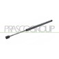 Molla A Gas destro/Sinistro Portellone posteriore (655N L.465MM) per Ford Focus FD4209065