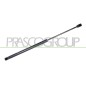 Molla A Gas destro/Sinistro Portellone posteriore (530N L.483MM) per Ford Focus FD4269055