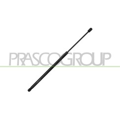Molla A Gas destro/Sinistro Portellone posteriore (Mod. Sw) (670N L.537MM) per Ford Focus FD4289065 - 64-FD4289065 -