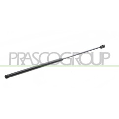 Molla A Gas destro/Sinistro Portellone posteriore (210N L.569MM) per Fiat Cinquecento (170) e Seicento (187) FT0199055 -