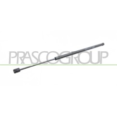 Molla A Gas destro/Sinistro Portellone posteriore (680N L.555MM) per Fiat 500L (330) e 500L (Trekking) FT0409055