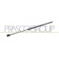 Molla A Gas destro/Sinistro Portellone posteriore (680N L.555MM) per Fiat 500L (330) e 500L (Trekking) FT0409055