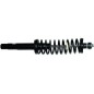 Ammortizzatore anteriore (Non Originale) 003 RDM003