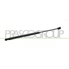 Molla A Gas destro/Sinistro Portellone posteriore (480N L.473MM) per Fiat Idea e Lancia Musa FT3509055 - 64-FT3509055 -