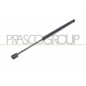 Molla A Gas destro/Sinistro Lunotto posteriore (Mod. Sw) (180N L.393MM) per Fiat Stilo (192) FT4209095