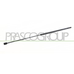 Molla A Gas destro/Sinistro Portellone posteriore (Mod. 10/Dal 2004) (430N L.866MM) per Fiat Doblo FT9089055 - 64-FT9089055