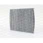 Filtro Abitacolo CAF2205.11