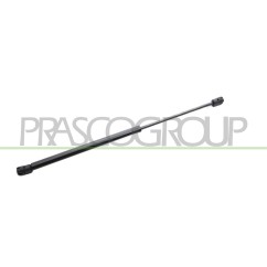 Molla A Gas destro/Sinistro Portellone posteriore (420N L.479MM) per Lancia Ypsilon LA0029055