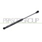 Molla A Gas destro/Sinistro Portellone posteriore (Mod. Coupe) (130N L.305MM) per Smart Fortwo ME3049055