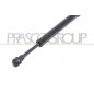 Molla A Gas destro/Sinistro Cofano (850N L.234MM) per Mercedes Classe M (W163) ME8209005