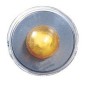 Gruppo ottico L2842 laterale Punto dal 200002 per Fiat Doblo, Punto (188) e Punto (3 Porte) (188) e altri modelli 326902842