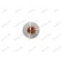 Gruppo ottico L2842 laterale Punto dal 200002 per Fiat Doblo, Punto (188) e Punto (3 Porte) (188) e altri modelli 326902842