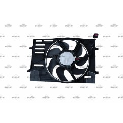 Ventola Radiatore C/Telaio Vw 470010