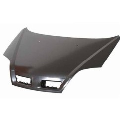 Cofano anteriore Renault-Renault Scenic 1999 00288030