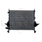 Radiatore Renault 519513